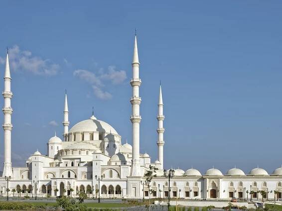 Oman Musandam Tour - Discover Nature's Wonders in Oman 5 Star Rating On Google Review Right Now