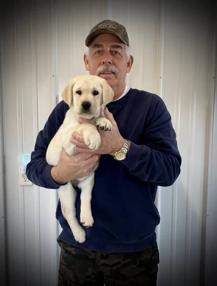 Families – Rushwind Labradors & Border Terriers