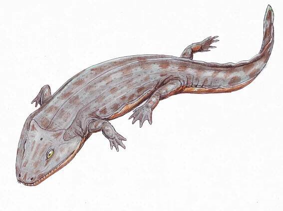 Iberospondylus