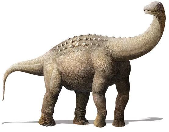 Yamanasaurus