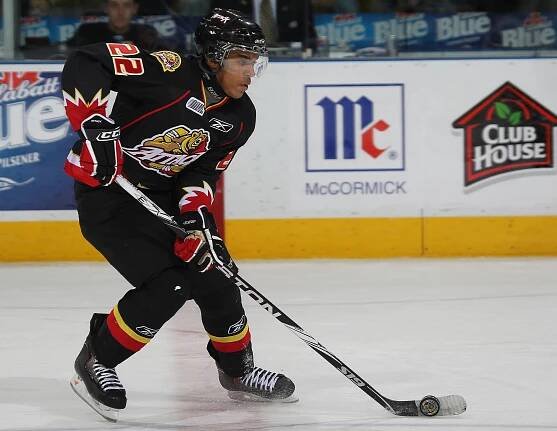 Matt Petgrave spent several seasons as a minor league hockey player on various teams.