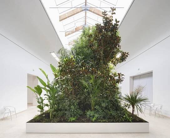 Building Biospheres by Bureau Bas Smets with Stefano Mancuso, Flanders Architecture Institute at the 2025 Venice Architecture Bennale - Photo by ©Michiel De Cleene.
