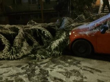 Poryvy větru v Praze lámaly stromy. Letiště krátkodobě nepřijímalo lety