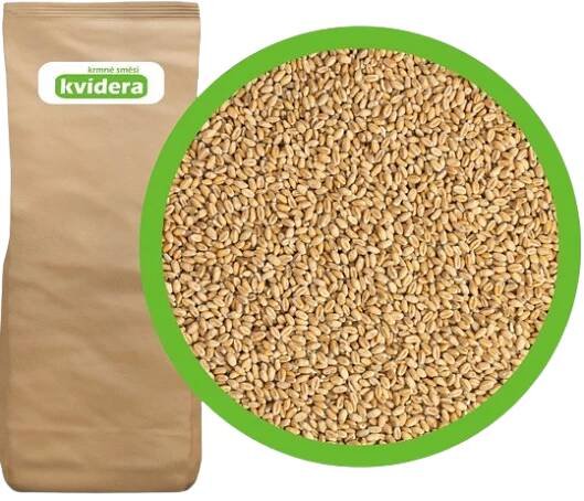 Krmné směsi Kvídera Krmná pšenice 25 kg