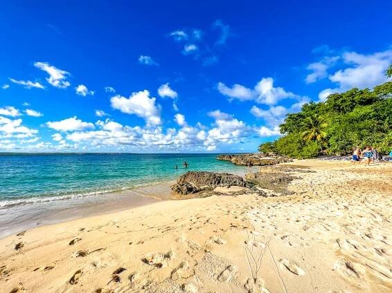 Cayo Saetia: An African Safari in Cuba | Next Departure | Cheap flights and Mistake Airfares