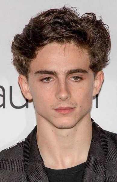 Súbor:Timothée Chalamet in 2018 (cropped).jpg