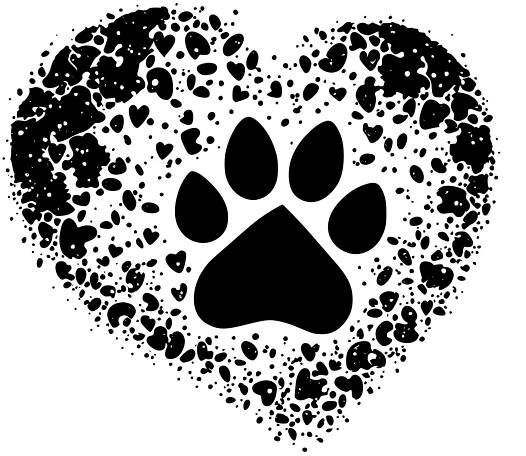 pets - Creative Meadow