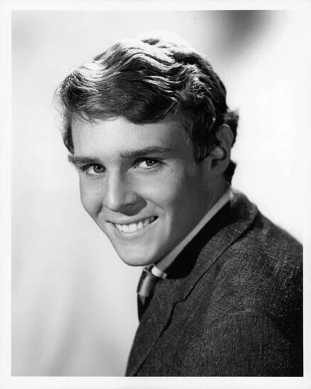 Jay North, "Dennis the Menace" Star, Dies at 73: Farewell to a Childhood Icon - BurnsVet