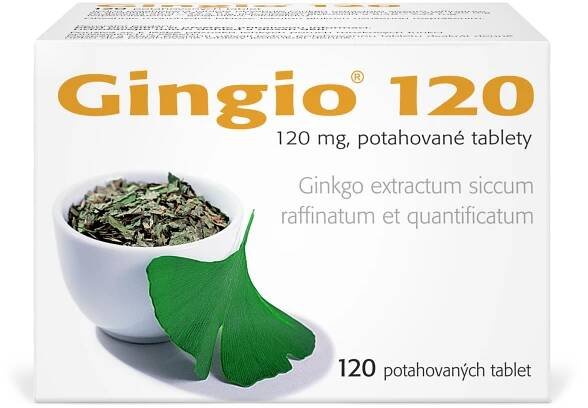Gingio 120 mg 120 tablet