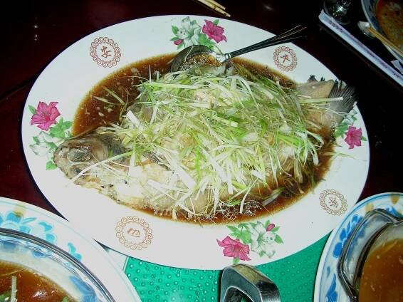 Soubor:Chinese Steamed Perch.jpg – Wikipedie
