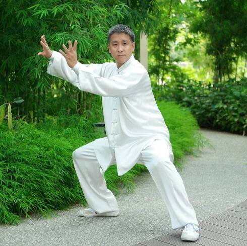mistr taichi