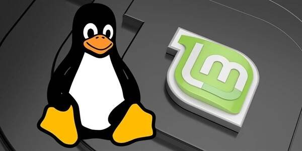 Vyšel nový Linux Mint 19.2 „Tina“. Vzhled podobný Windows zůstává, výkon se zvyšuje