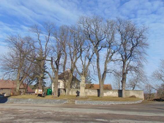 Jaro na Včelákově – Městys Včelákov
