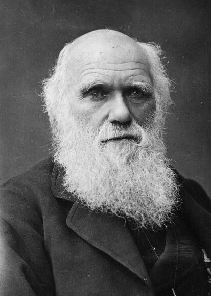 Charles Darwin – Wikipedie