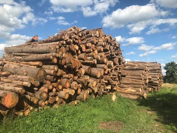 Dluhopisy WOOD UNION II 2022