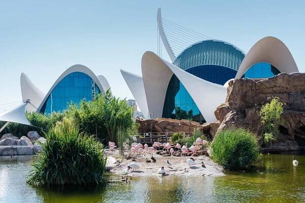 Oceanogràfic de València