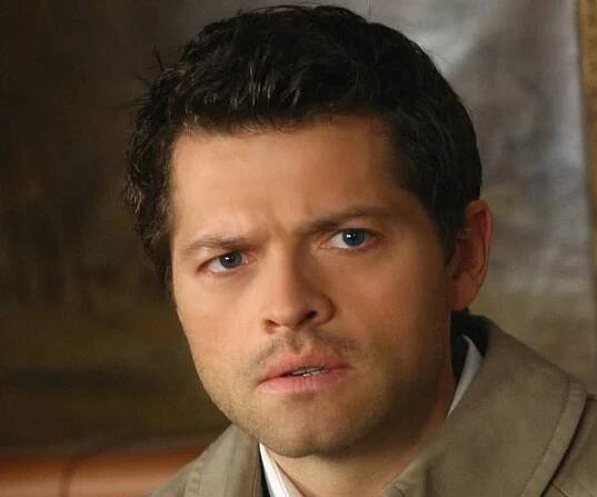 Misha Collins Biography - Facts, Childhood, Family Life & Achievements