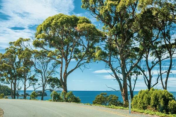 TASMANIA / NSW / VICTORIA – AUSTRALIA – 2019