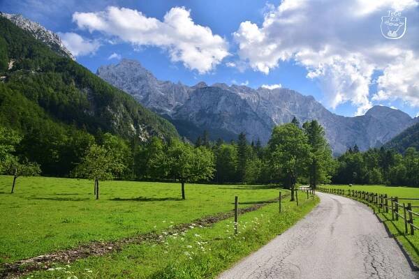 Tři mušketýři ve Slovinsku – Turisticky gurman
