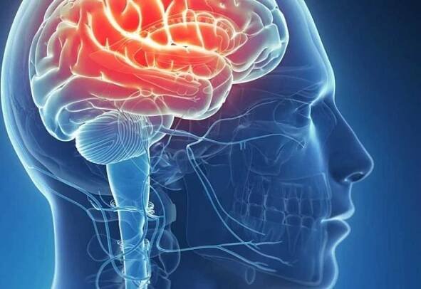 Symptomy a typy epilepsie. Jak nechat nemoc v minulosti? / Články