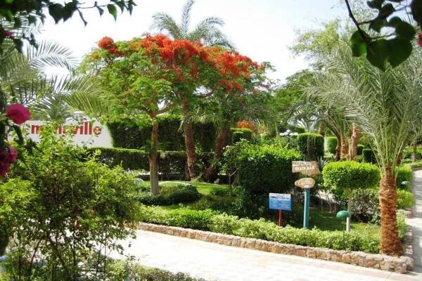 Menaville Safaga