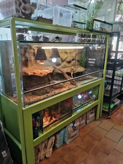 ZOO shop foto 2