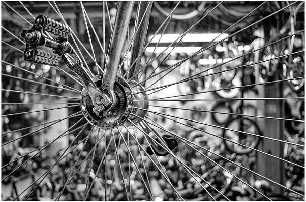 Bicycle Heaven, Pittsburgh, PA ©2023 Brent Miller Photography
