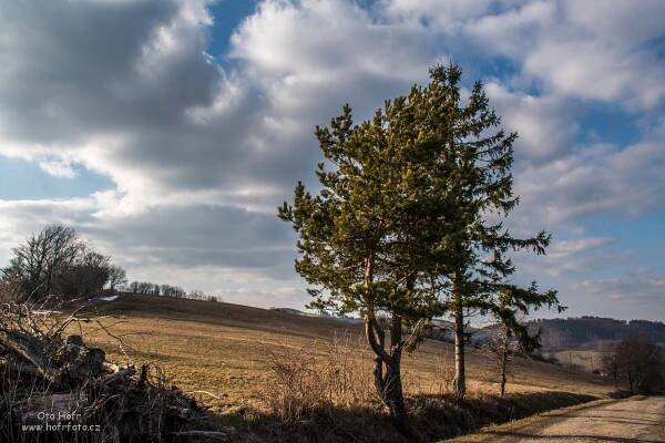 Toulání Kopanicemi III - Vyškovec, Mikulčin Vrch - Ota Hofr Photography