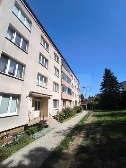 Pronájem bytu 1+1 Nová Role, obrázek č.9