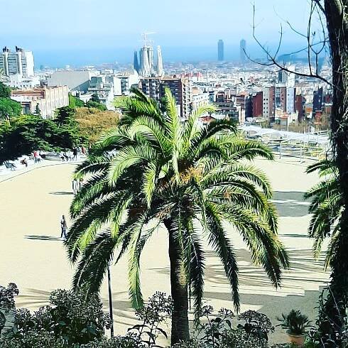 Literarische Reise Barcelona Aufgeblättert
