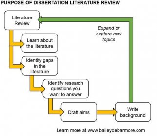 Role of the literature review in the dissertation writing process