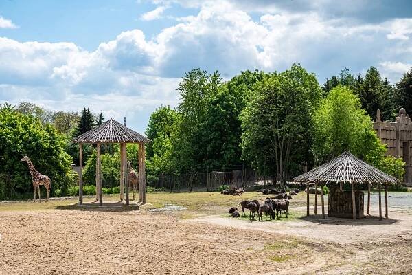 Ubytování v safari zařadili Češi v anketě Kemp roku mezi deset nej