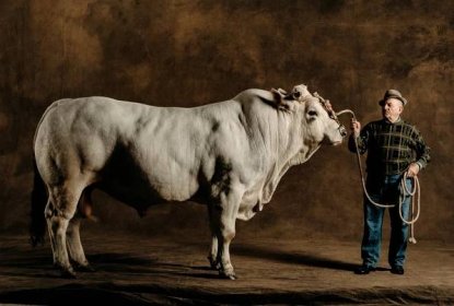 Animals Farms | Yann Arthus-Bertrand's Photos