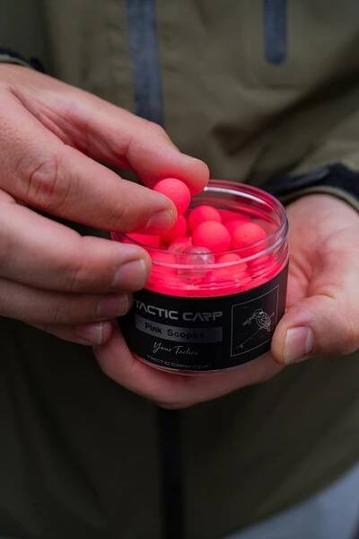 Shop - Tactic Carp