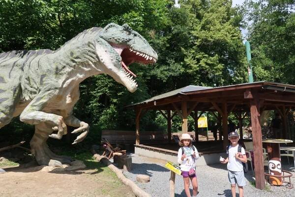 Základní škola Vranov nad Dyjí | Výlet do DinoParku Vyškov - 24. 6. 2025