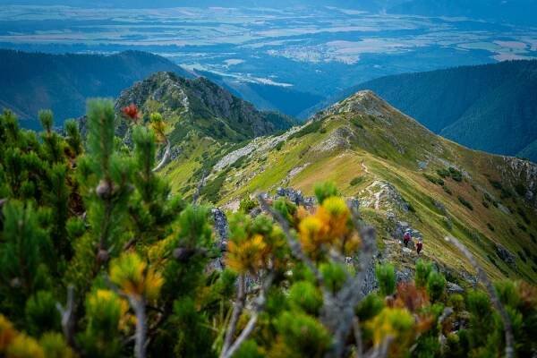 Západné Tatry