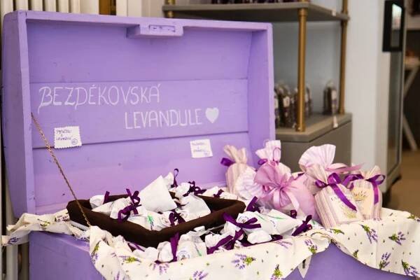Levandulové bistro Olomouc | Levandulová farma