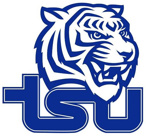 A blue and white logo with a tiger 's head and the letter ts.