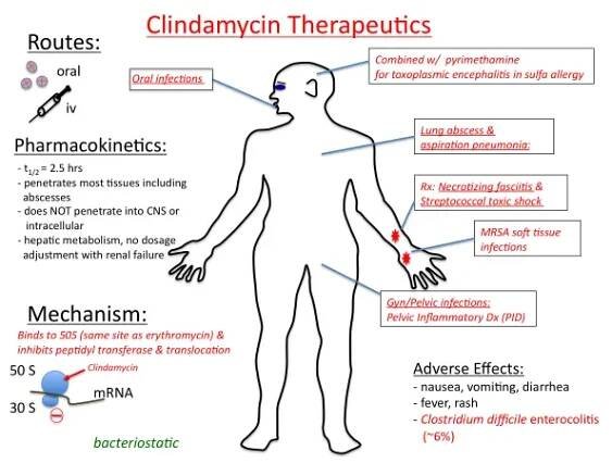 klindamycin HCl