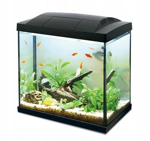 AKVÁRIUM SADA S LED OSVĚTLENÍM A VNITŘNÍM FILTREM 30 L ČERNÁ