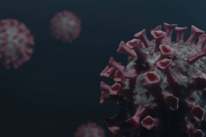 Pandemie covidu skončila, šíření koronaviru během zimy je endemické, tvrdí německý virolog
