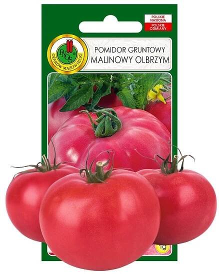 RAJČE VELKÉ, CHUTNÉ SEMENA BEZ GMO