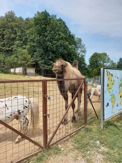 Zoo Na Hrádečku (Jindřichův Hradec) | Cloud