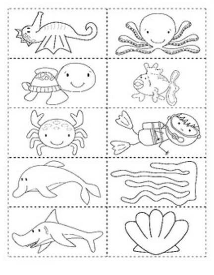 the printable worksheet for ocean animals