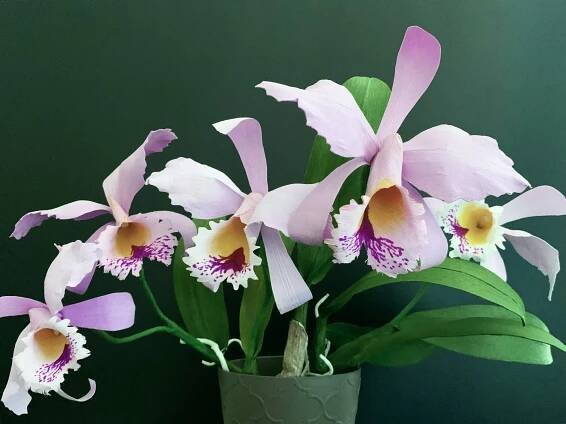 Paper Cattleya Orchid - Online Course — yiyagami