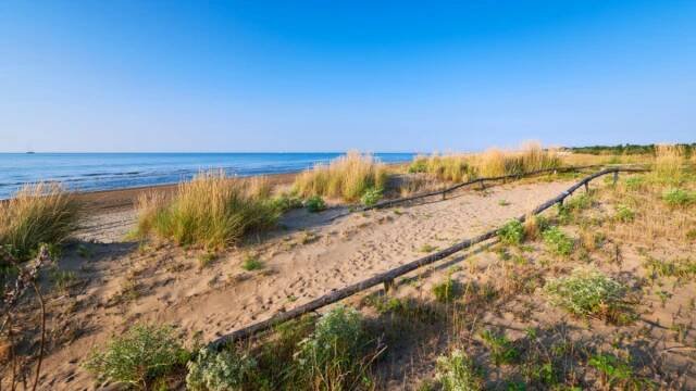 Exklusive und kostenlose Führungen für Gäste des Marina di Venezia