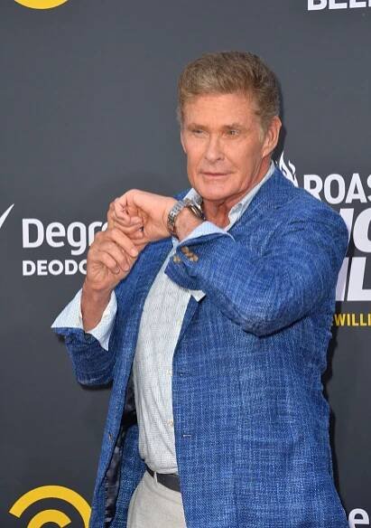 David Hasselhoff ze seriálu Pobřežní hlídka | TVGURU.cz