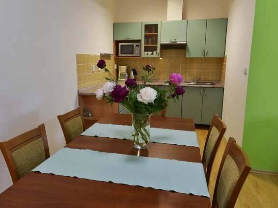Apartmán 1 kuchyně - pronájem Velhartice - Braníčkov - foto 12