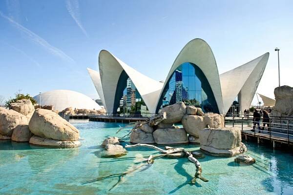 Oceanografic, Valencia Španielsko | František Peťko | Svadobný a rodinný fotograf Trenčín, Žilina, Bratislava