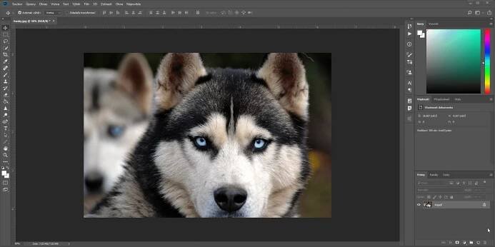 Photoshop